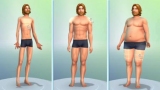     the Sims 4