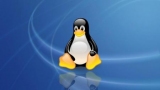      Linux:    