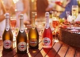 Martini Brut -    